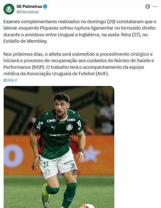 开云下载-战英格兰受伤，帕尔梅拉斯官方：乌拉圭后卫皮克雷斯脚踝韧带撕裂